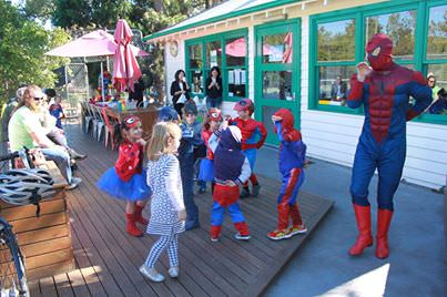 spiderman hire for kids birthday parties melbourne